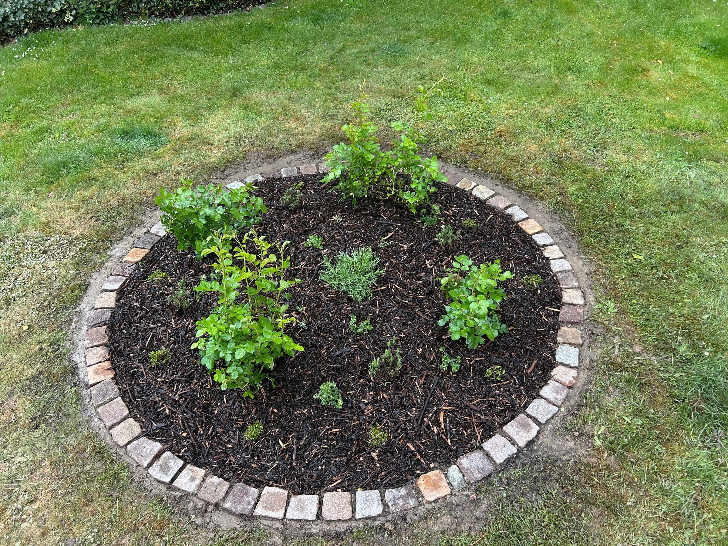 Frisch angelegtes Rundbeet mit Naturstein-Einfassung